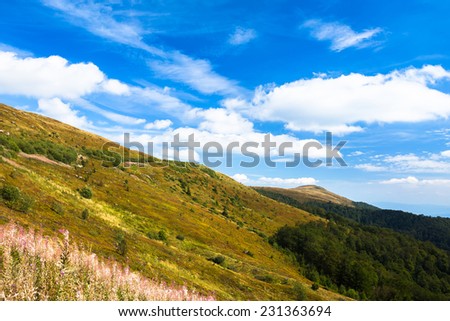 Sunny landscape with mountains, blue sky and green trees. Beautiful carpathians landscape