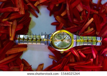 gold watch, accompanied by a red background, echoed with red flower petals of the mountains Imagine de stoc © 