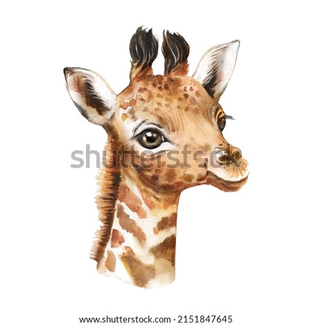 Giraffe Watercolor painting, naturalistic giraffe painting, giraffe head, cute little giraffe, African animal wall art