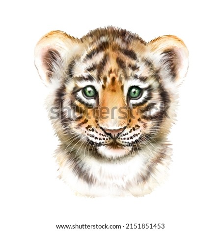Little tiger watercolor picture, naturalistic picture of tiger cub, tiger head, cute little tiger, African animal wall art
