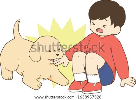 golden retriever - child and angry puppy