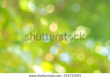 Abstract green nature background, blurred by camera Abstract green nature background