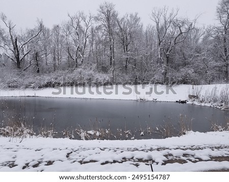 Similar – Image, Stock Photo Fallen tree in pond, forest, winter