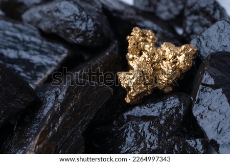 Gold Nugget mining from the River in Austria, real Gold Imagine de stoc © 