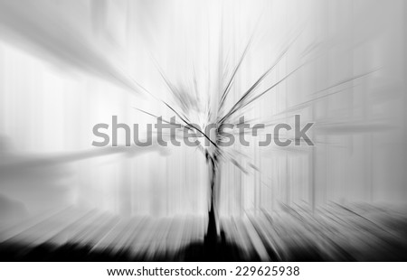 Abstract zoom motion blur background of the lone tree in black, white, and grey