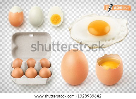 Vector collection of realistic eggs, fried egg, cardboard egg box and boiled eggs on transparent background
