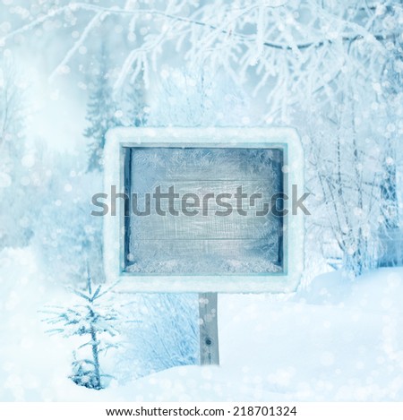Winter background, scene, landscape. Wooden sign in the winter forest. winter wonderland. Winter trees in snow. Space for winter text. Christmas and new year design.