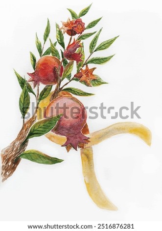 Israel Support Yellow Ribbon on Pomegranate Branch, hand drawn watercolor illustration, conseptual jewish art, symbolic greeting card for Rosh Hashanah,  solidarity with hostages, bring them home now