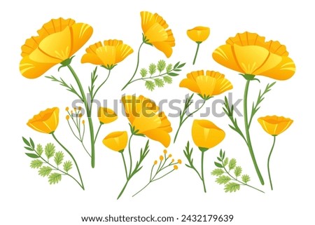 Similar – Image, Stock Photo Poppies yellow