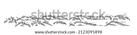 Dense thickets of meadow grass. Wild field plants. Outline sketch. Hand drawing is isolated on a white background. Vector. Stockfoto © 