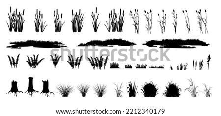 Set of shoots of reeds, reeds and coastal grass. Ferns and rotten stumps. Swamp landscape. View of the river bank. Silhouette picture. Isolated on white background. Vector.