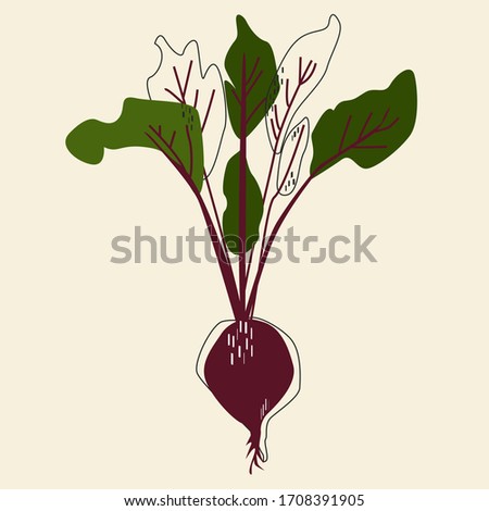 Color abstract vegetables isolated vector illustration. Beetroot wall art. Scandinavian style background.
