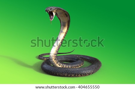 Vector Cobra | Download Free Vector Art | Free-Vectors