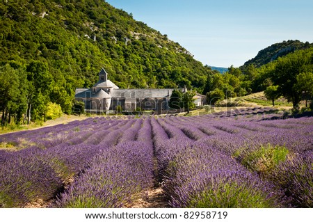 Abbey Senanque - famous must-see place in Provence, France