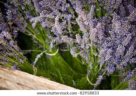 Fresh lavender flowers in wooden box