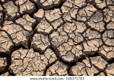 Drought has broken ground cracks because of lack of water.