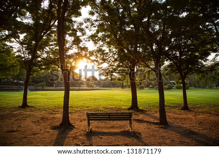 Bench in the park for people to relax on vacation. The property has a shady garden. In the evening.