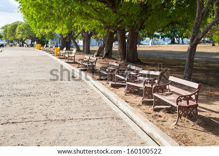 Benches along the path. Under a tree in the garden.