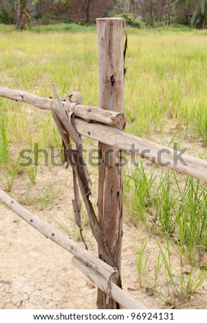 Wooden fence, grass and wood fence around the territory.