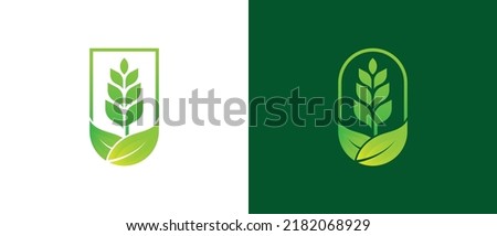 Grain Wheat Logo Concept sign icon symbol Design. Grain Wheat Leaf Logo . Vector illustration logo template Design
