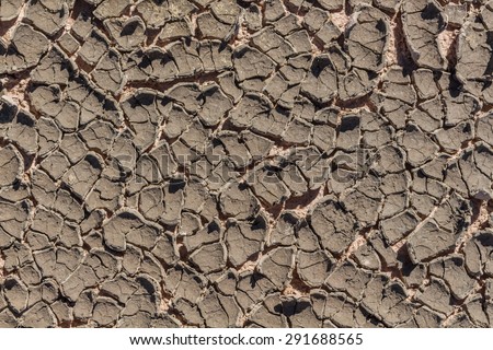 texture of dry ground in summer