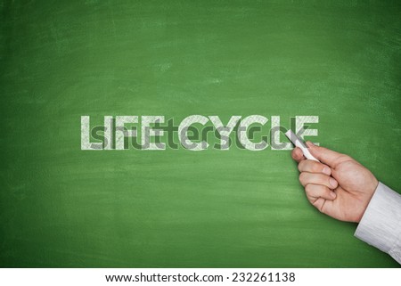 Life cycle on blackboard with businessman