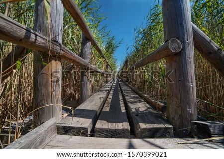 Similar – Image, Stock Photo The wooden footbridge in the Hautes Fagnes meandered through the green grass and disappeared between the trees