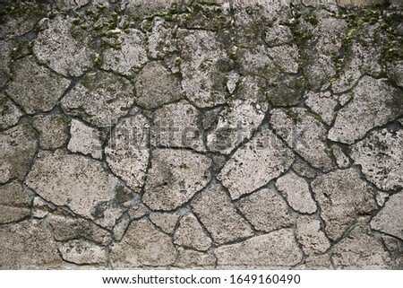 Similar – Image, Stock Photo Detail of an abandoned building in the middle of the Jungle