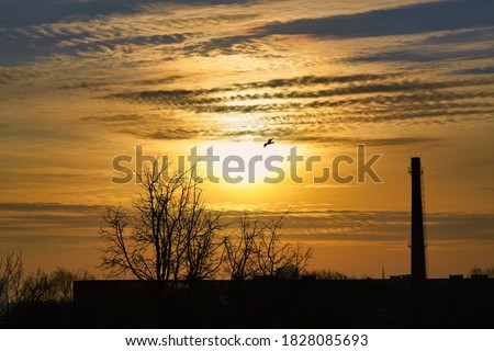 Gorgeous panorama scenic of the strong sunrise with silver lining and cloud on the orange sky.
