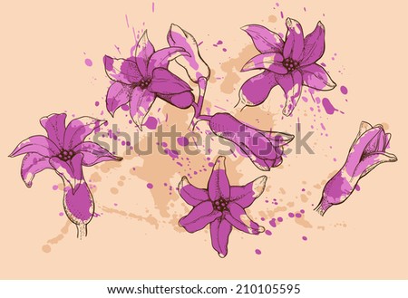 Hyacinth flowers in purple color with smudges of paint