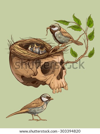 colorful illustration of birds making a nest in animal skull