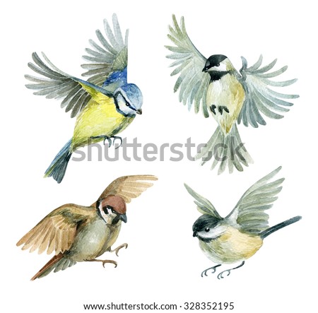 Similar – Image, Stock Photo A blue tit flying out of its nest box at high speed in search of food for its hungry offspring