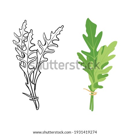 Fresh arugula leaves hand drawn sketch isolated on white background. Rocket salad or arugula. Vector ストックフォト © 
