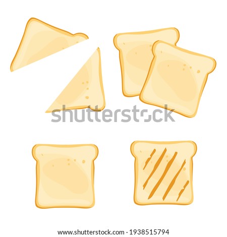 White toast bread slices for sandwich isolated on white background. Vector