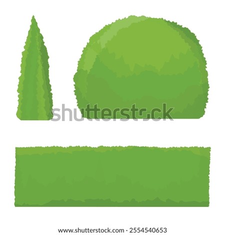 Thuja tree, round shape bush, shrub and green fence isolated on white background. Garden decoration elements. Vector