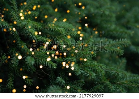 Similar – Image, Stock Photo Details of christmas decoration over a christmas tree