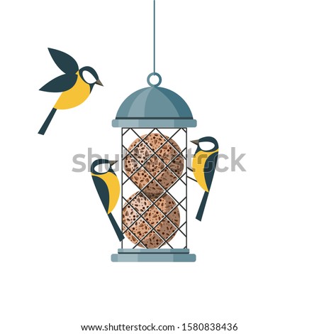 Three cute cartoon titmice at a bird cage-style bird feeder. Illustration in a flat style isolated on white background.