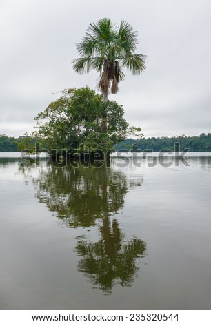 Lake Sandoval in Peru, Peruvian Amazon, South America. View of Lake Sandoval, Peruvian Amazon, Peru, South America. Located Tambopata-Candamo; a nature reserve. Basin south of the Madre de Dios River.