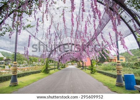 NAKORNRACHASRIMA, THAILAND - JUNE 27 : Travel in the garden flower at the bloom tv pool on JUNE 27, 2015 in Nakornrachasrima, Thailand