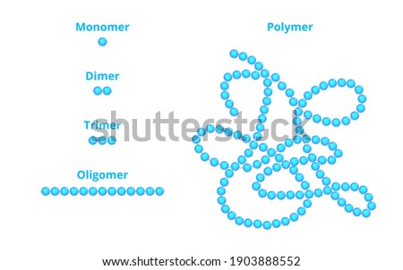 Vector scientific illustration of monomer, dimer, trimer, oligomer, and polymer isolated on a white background. Repeating units of the monomer as a part of a polymer. Macromolecular chemistry concept.