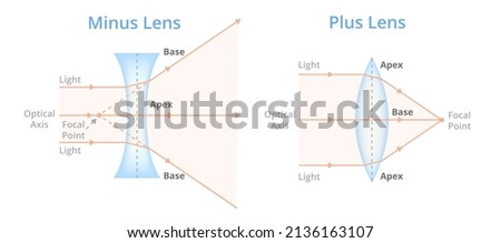 Vector illustration of minus and plus lens isolated on white background. Convex or converging lens, concave or diverging lens. Plus lenses – prisms base to base. Minus lenses – prisms apex to apex.