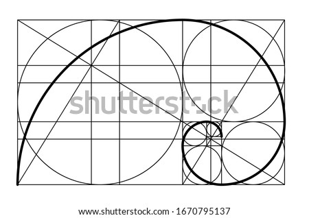 Nautilus Shell Drawing At Getdrawings Free Download