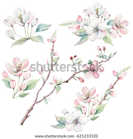 Similar – Image, Stock Photo Branch of a white flowering fruit tree against a dark blue background