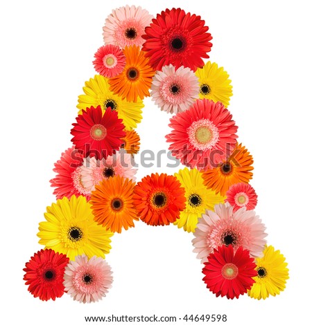 Beautiful alphabet of flowers - isolated on white - stock photo