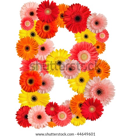 Beautiful alphabet of flowers - isolated on white - stock photo