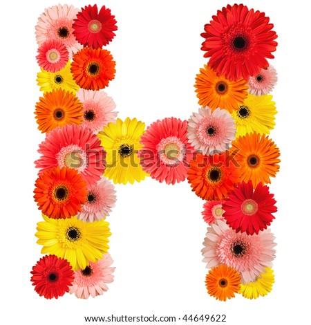Beautiful alphabet of flowers - isolated on white - stock photo