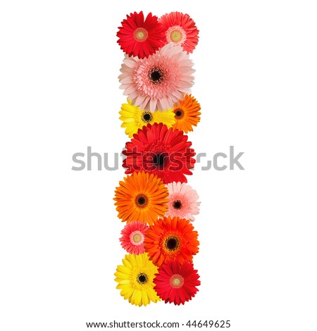 Beautiful alphabet of flowers - isolated on white - stock photo