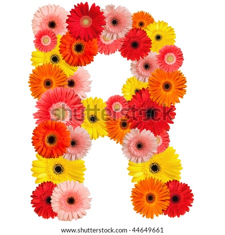 Beautiful alphabet of flowers - isolated on white - stock photo