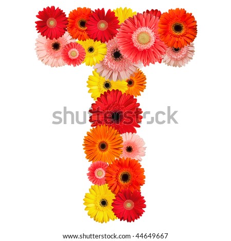 Beautiful alphabet of flowers - isolated on white - stock photo