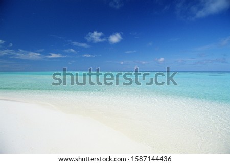 View of a tropical beach, Bora Bora, Society Islands, French Polynesia